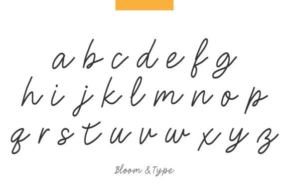 Bhaddaka Font - Preview 5