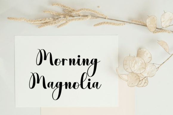 Bigday Christmas Font - Preview 3