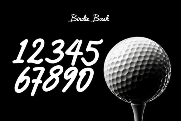 Birdie Bash Font - Preview 3