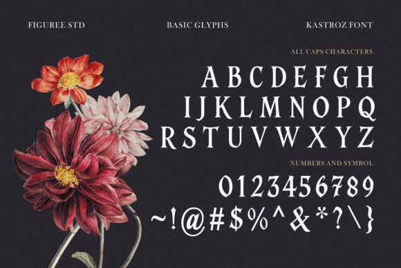 Kastroz Font PNG with transparent background - Preview 4