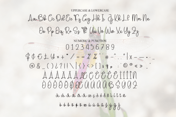 Dragonfly Font - Preview 6