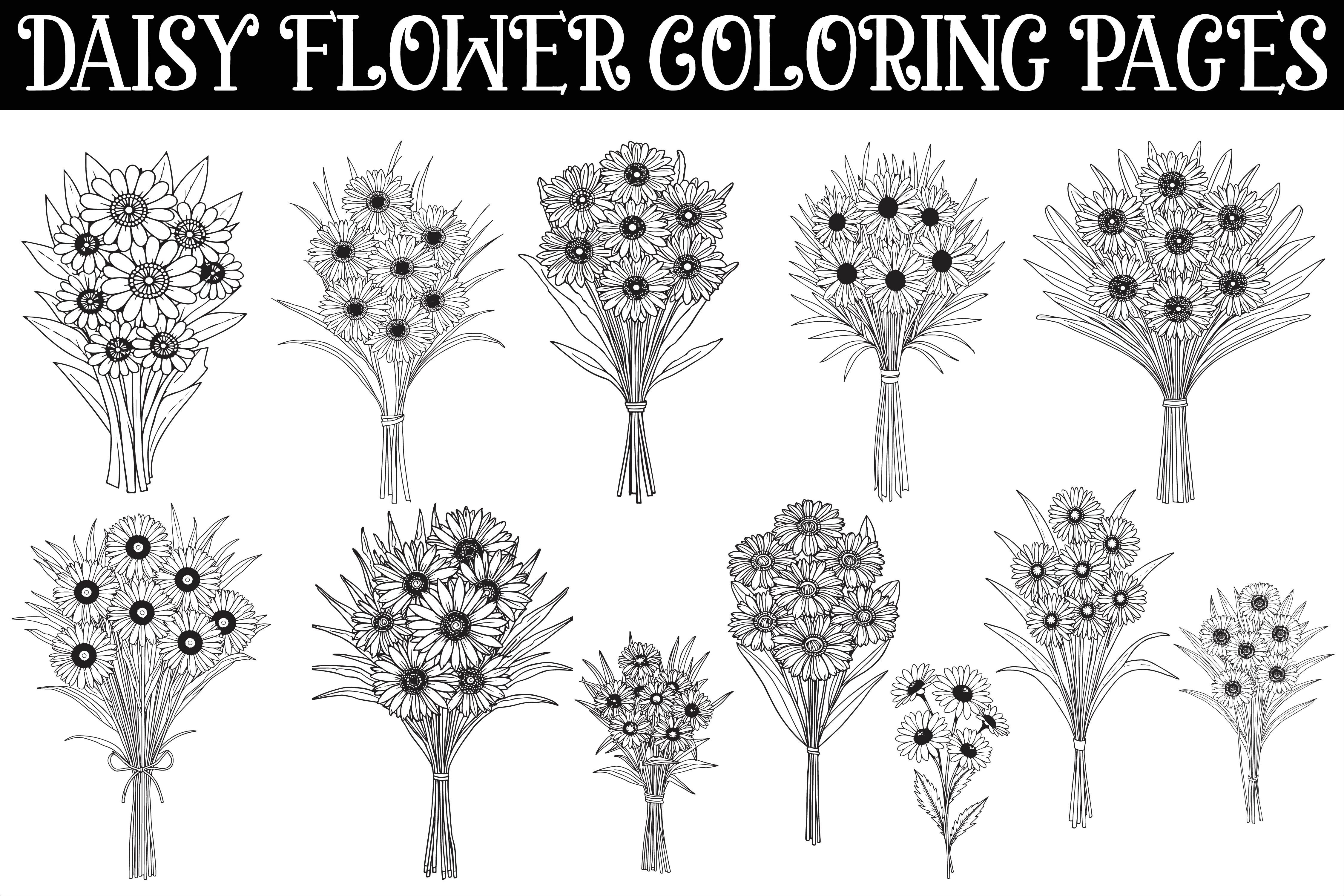 Daisy Flower Coloring Pages Featuring