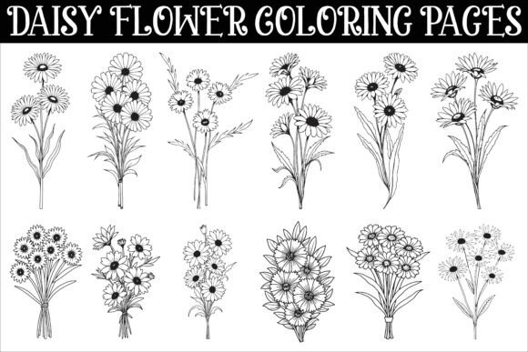Daisy Flower Coloring Pages Featuring Graphic by Grafica · Creative Fabrica