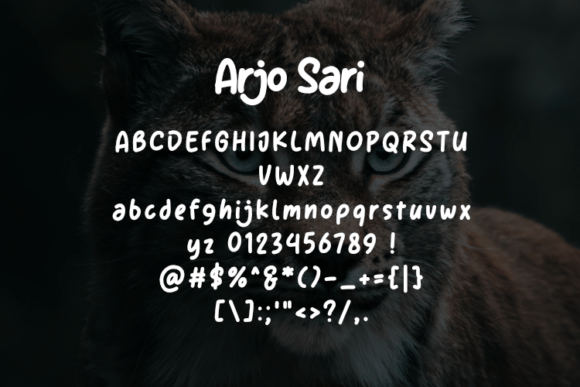 Arjo Sari Font PNG with transparent background - Preview 1