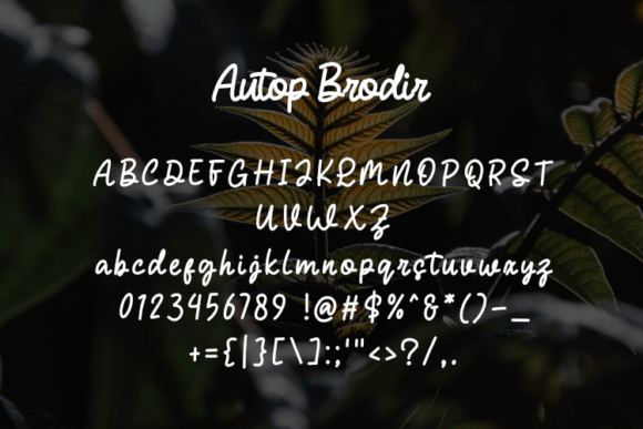 Autop Brodir Font PNG with transparent background - Preview 1