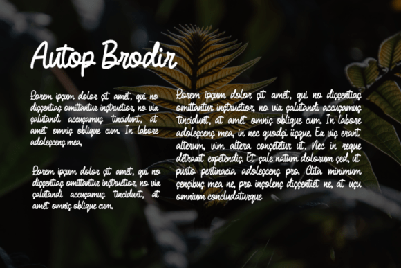 Autop Brodir Font PNG with transparent background - Preview 2