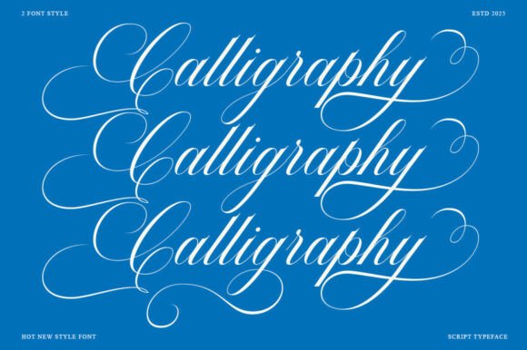 Barleina Calligraphy Font - Preview 1