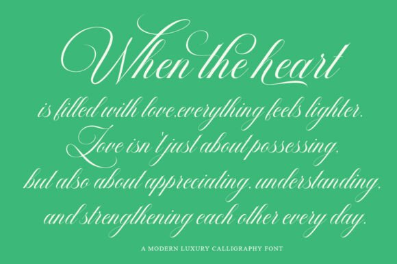Barleina Calligraphy Font - Preview 2