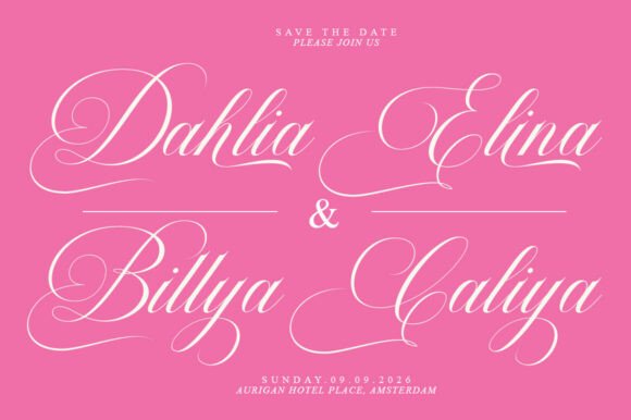 Barleina Calligraphy Font - Preview 3