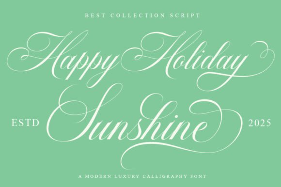 Barleina Calligraphy Font - Preview 4
