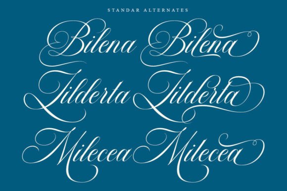 Barleina Calligraphy Font - Preview 5