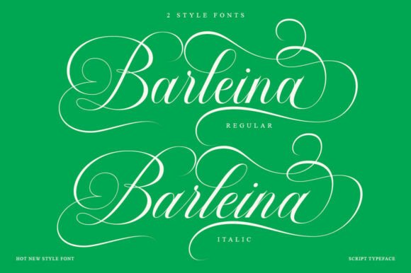 Barleina Calligraphy Font - Preview 6