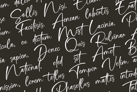 Cathelink  Font - Preview 2