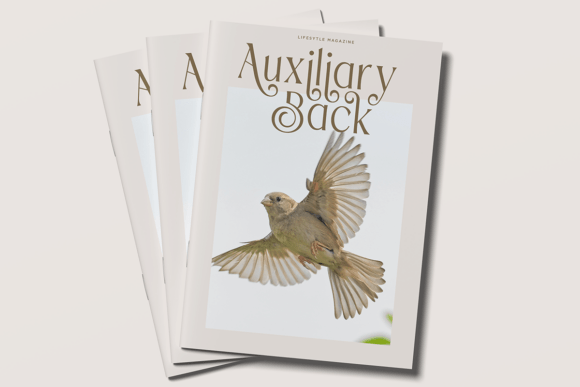 Fradesty Font PNG with transparent background - Preview 6
