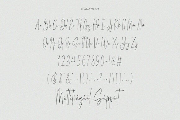 Charlie Finley Font - Preview 4
