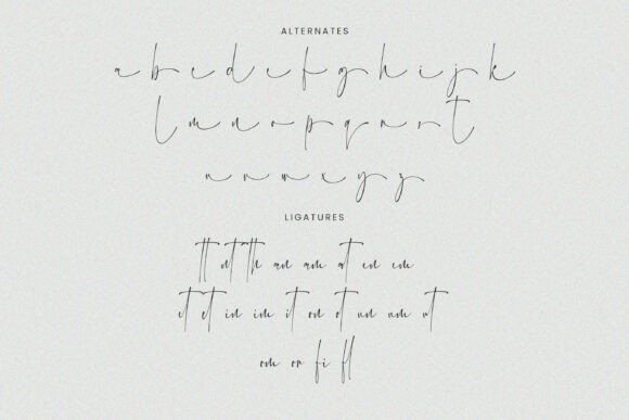 Charlie Finley Font - Preview 5