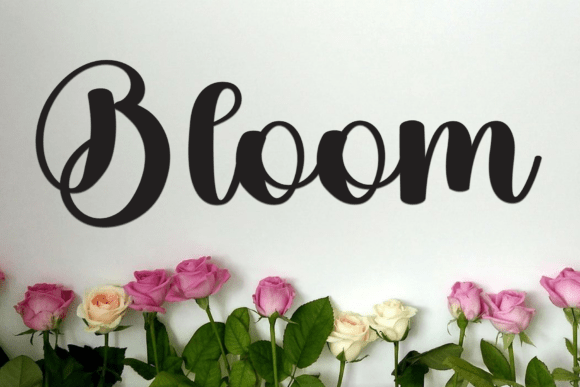 Country Font - Preview 3