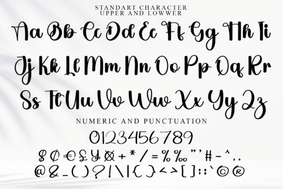 Country Font - Preview 4