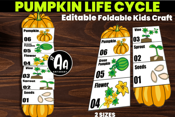 Foldable Pumpkin Life Cycle Kids Craft Graphic by AntarArt · Creative ...