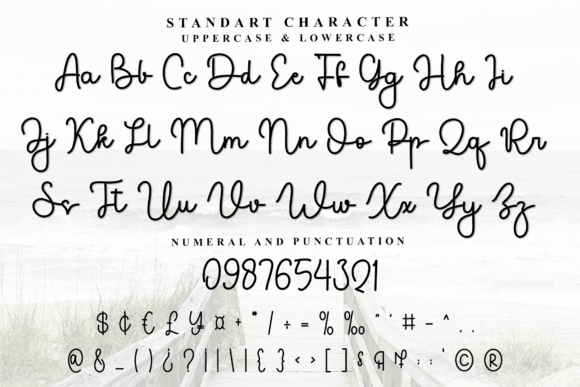 Calligraphy Font - Preview 4