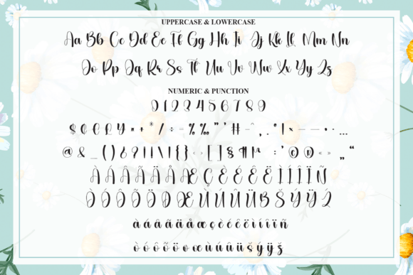 Daisy Notebook Font - Preview 6