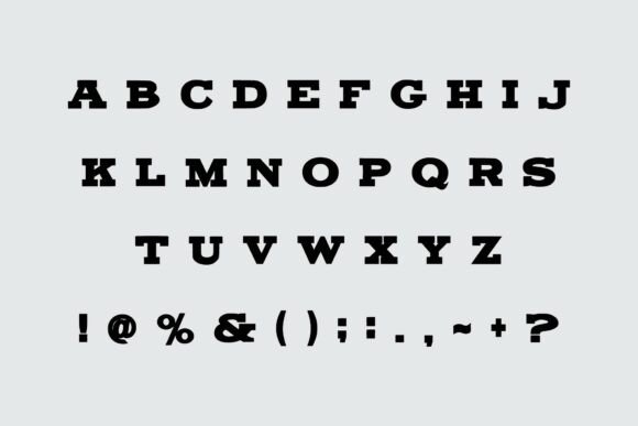 Boston School Font - Preview 6