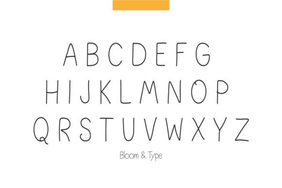 Bodhita Font - Preview 3