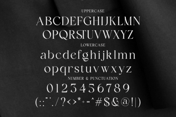Flamicia Font - Preview 6