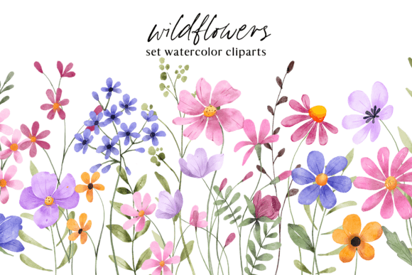 Floral Watercolor Set, Flowers, Leaves.
