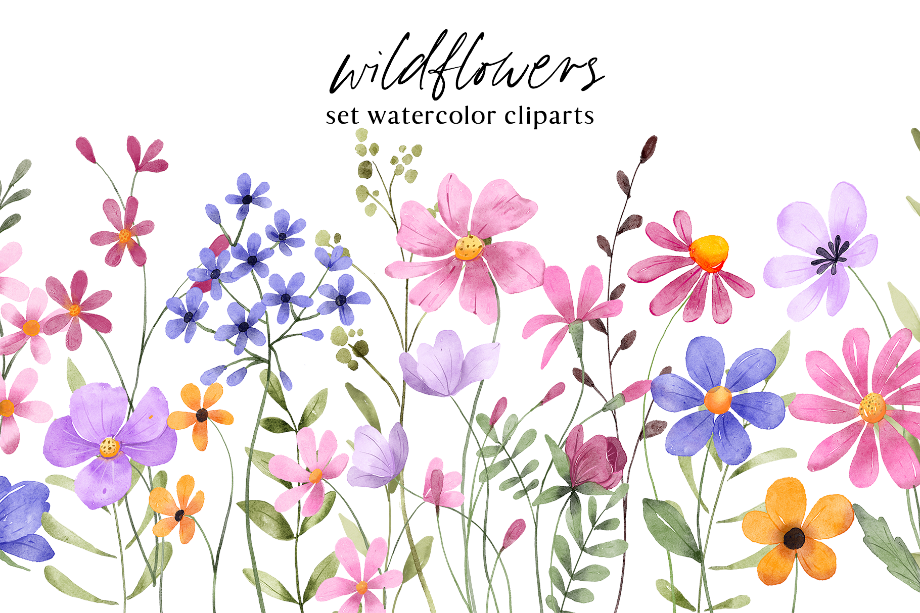 Floral watercolor set, flowers, leaves.