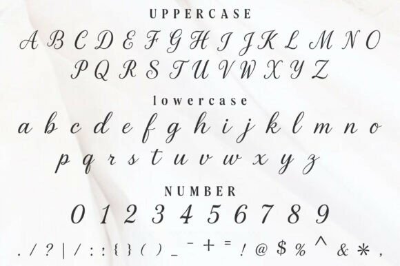 Amellia Font - Preview 2
