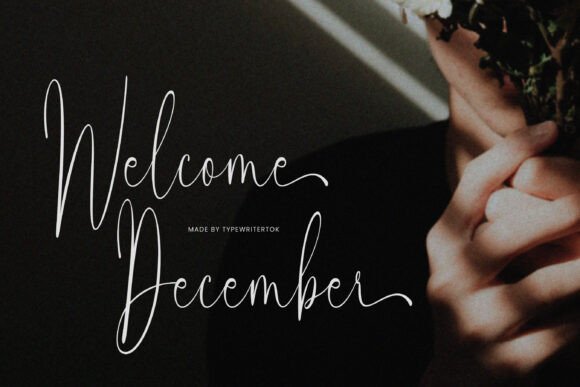 Christy Font - Preview 3
