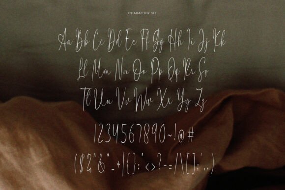 Christy Font - Preview 5