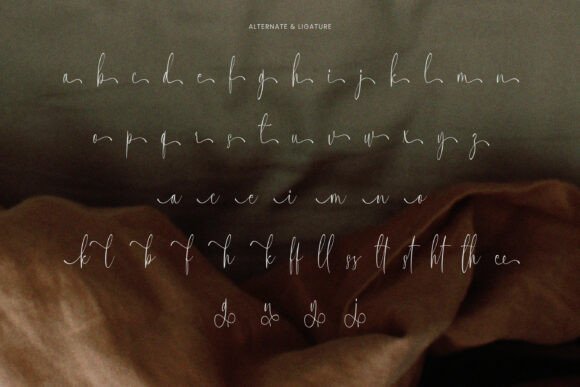 Christy Font - Preview 6