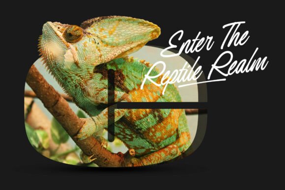 Redrun Font PNG with transparent background - Preview 2