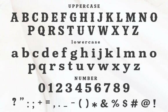 Dusty Cactus Font font preview - 1