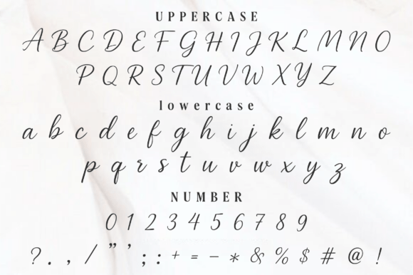 Ravelia Font PNG with transparent background - Preview 2