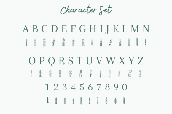 Crownleaf Dingbat Font - Preview 6