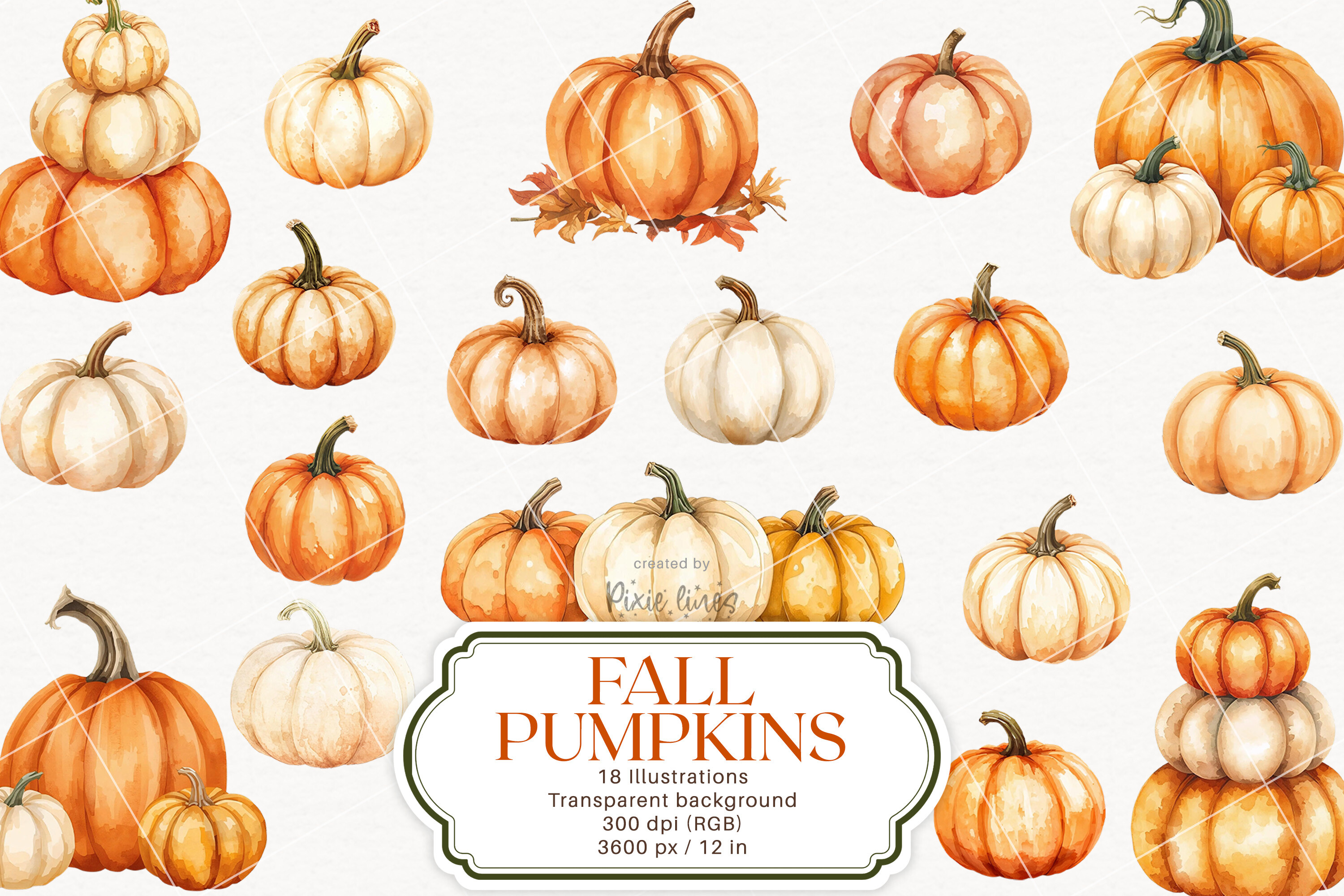 Fall Pumpkin Harvest, Autumn Pumpkins