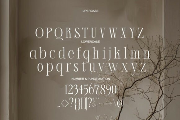 Acher Font - Preview 5