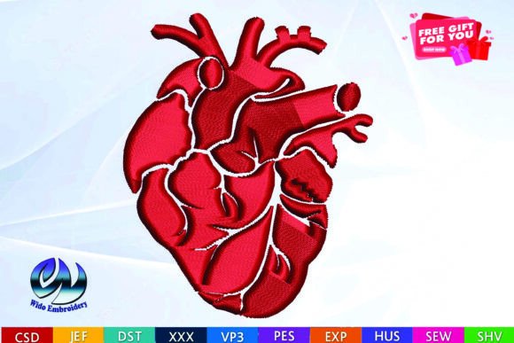 Anatomical Heart Design