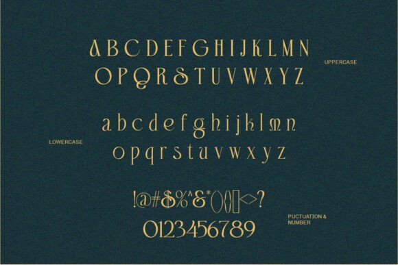 Domica Sauvage Font - Preview 6