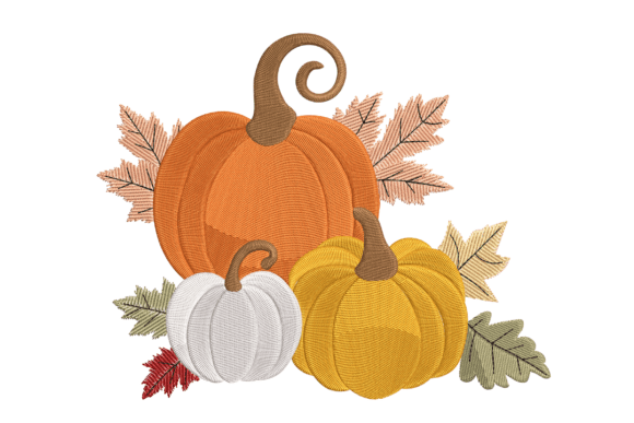 Harvest Pumpkins