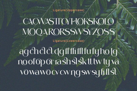 Lessway Font PNG with transparent background - Preview 5