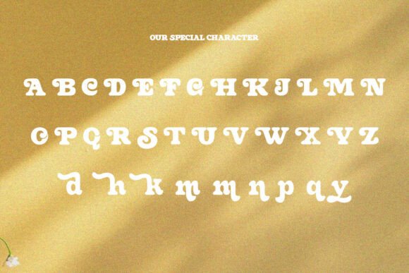 Seyork Font PNG with transparent background - Preview 5