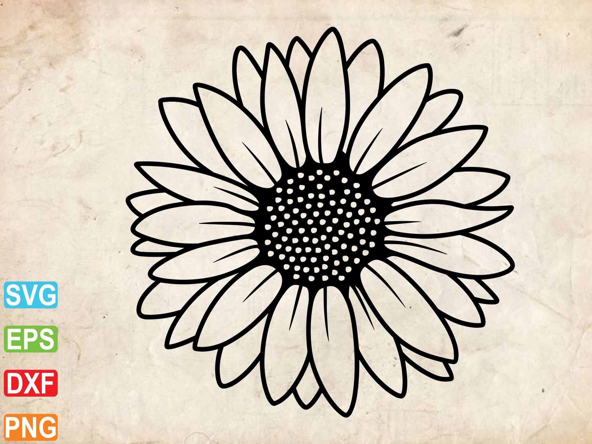 Sunflower Svg, Sunflowers Clipart