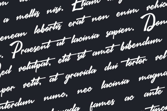 Brastigma Font - Preview 1