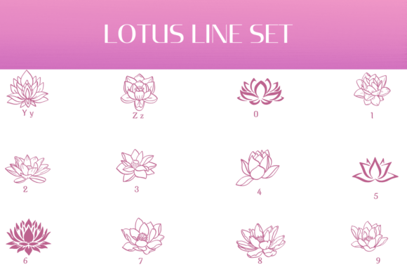 Lotus Line Set Font PNG with transparent background - Preview 3