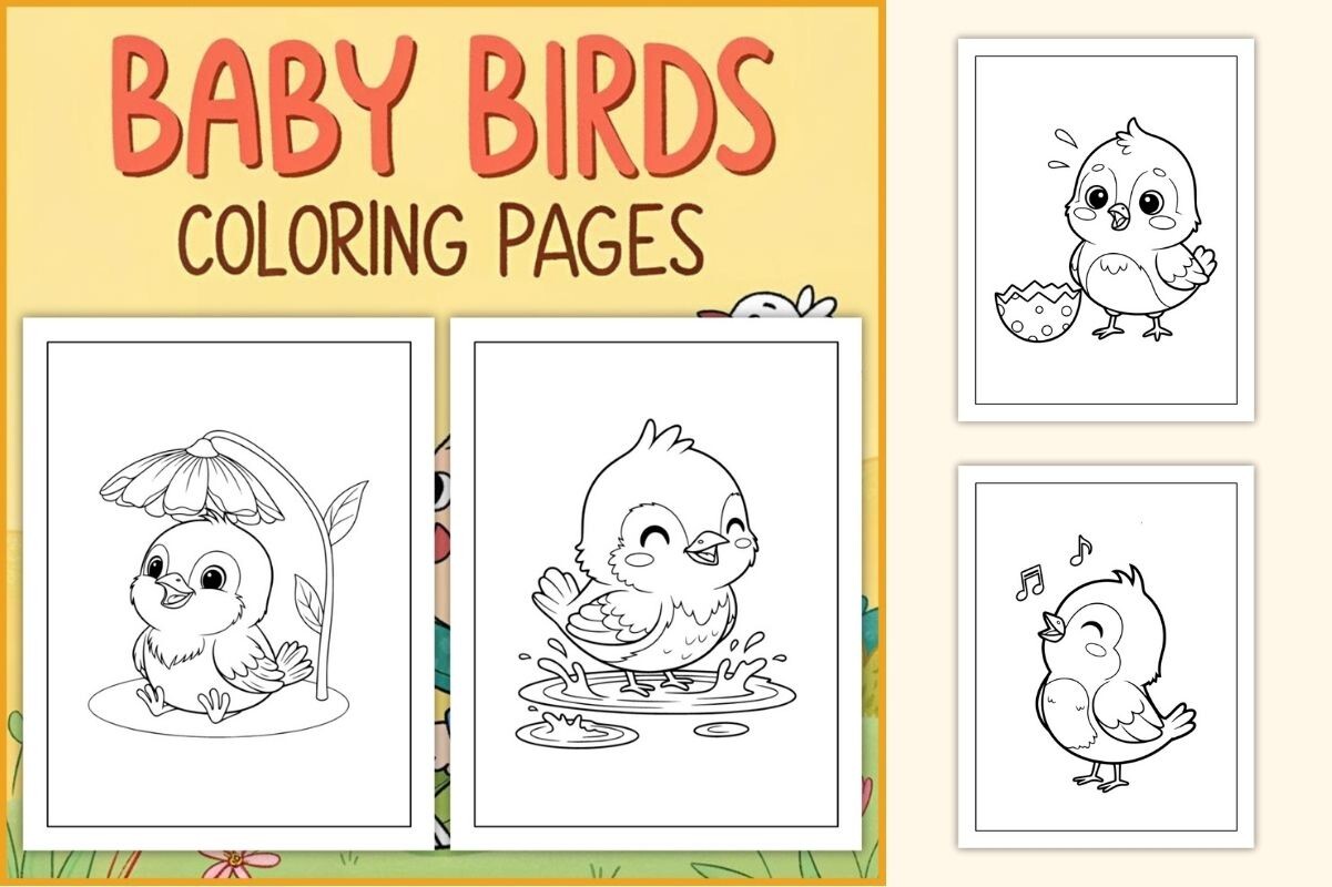 Baby Birds Coloring Pages for Kids