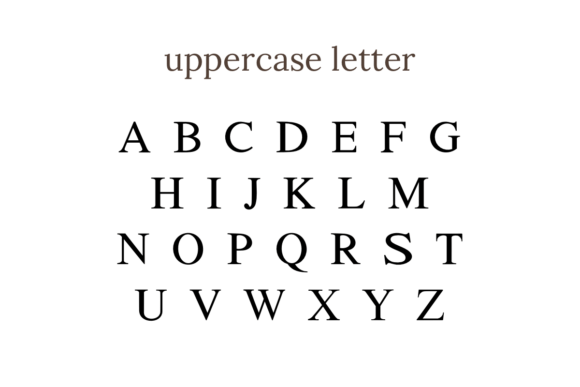 Hibiscus Monogram Font - Preview 5